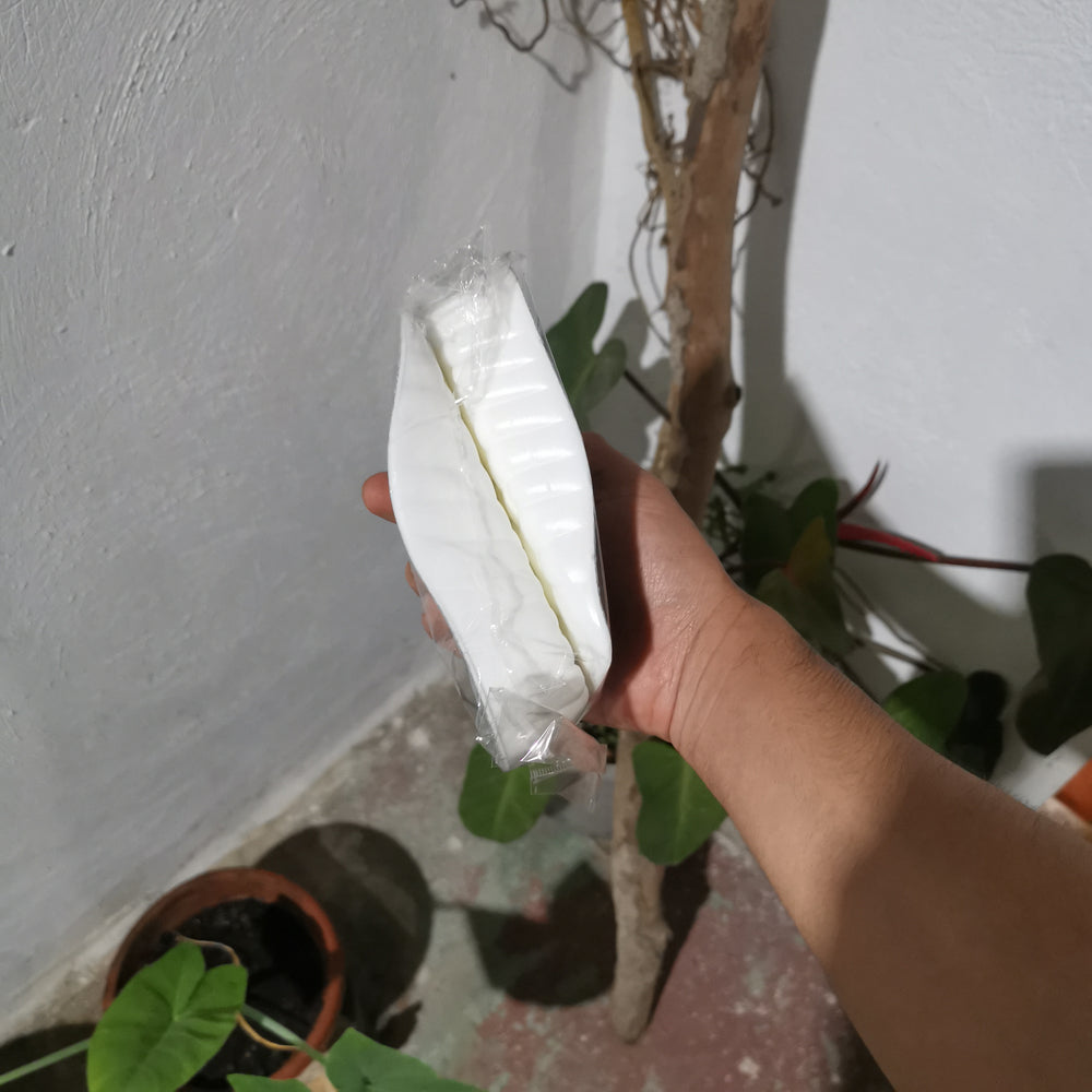 Review de Estuardo L.